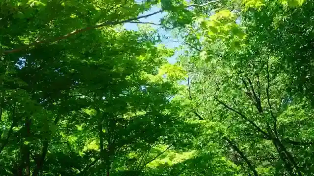 豊かな自然と落ち着いた雰囲気の霊園