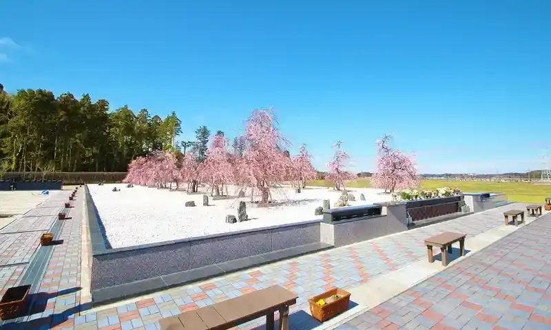 杜の郷霊園の樹木葬