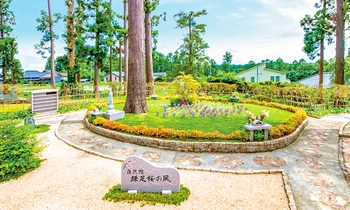 自然豊かな寺院