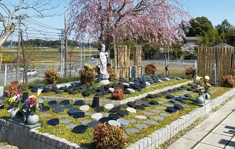 柏樹木葬墓地