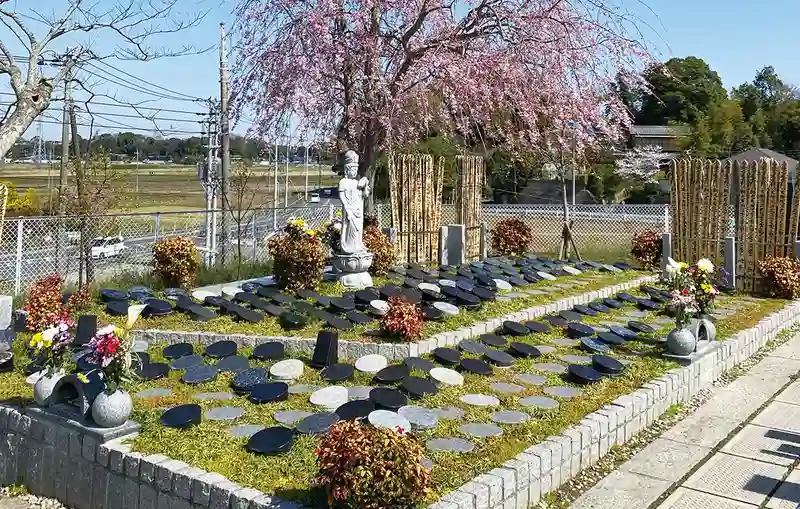 印西市 「愛樹木葬」柏樹木葬墓地