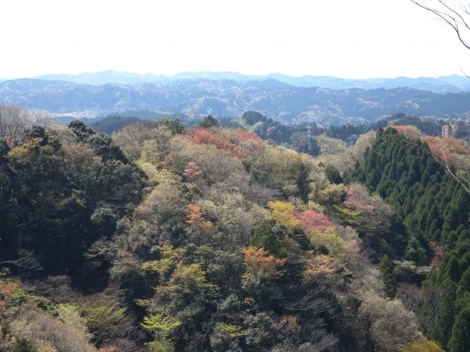 市原南霊園 