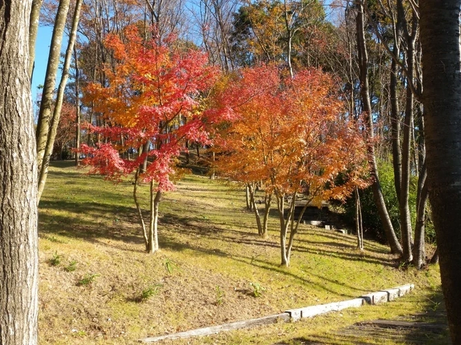 市原南霊園 