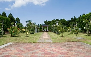 千葉中央霊園 ガーデニング型樹木葬「フラワージュ」 霊園風景