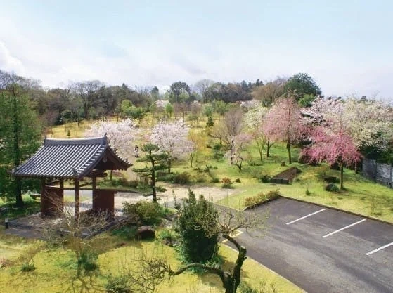 袖ヶ浦市 真光寺 里山の樹木葬