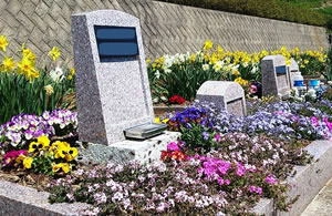 彩りの花墓苑（1名）の写真1