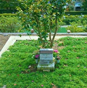 樹木墓苑（3名）の写真1