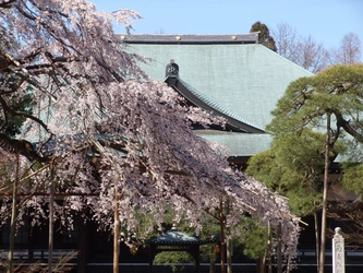 明るい雰囲気のお寺