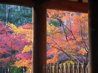 豊かな自然と落ち着いた雰囲気のお寺