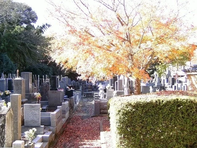 東漸寺 