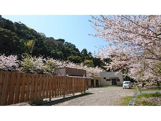 桜の木に囲まれた霊園