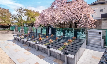 見所の多い寺院