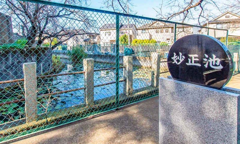 妙正寺 永代供養墓・樹木葬 