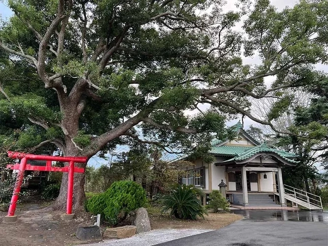 樹⽊葬 掛松寺 鴨川庭苑 