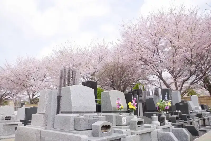 野田さくら霊園 春には桜が満開になります