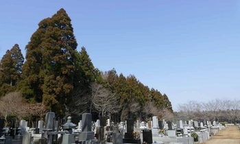 明るい雰囲気の霊園