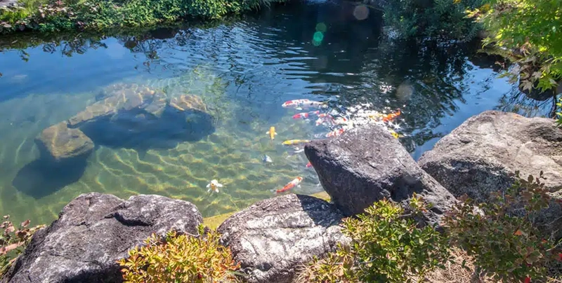 万福寺 永代供養墓・樹木葬 