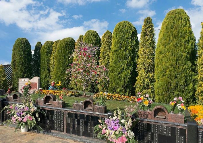 樹木墓地 「桃源郷」 合葬エリアの写真1