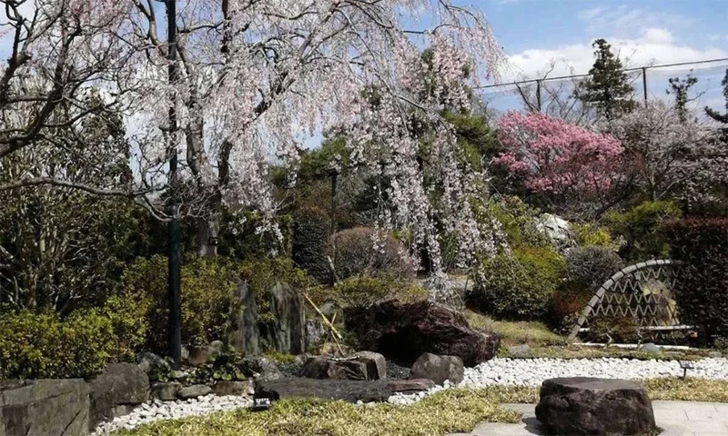 いちかわ大町霊園 