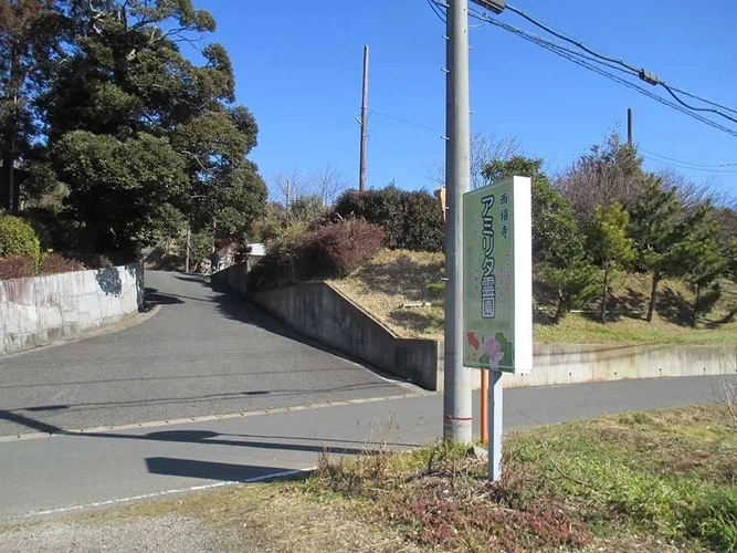 木更津 上烏田 西福寺 