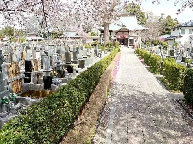 柏市 大洞院 永代供養墓・一般墓