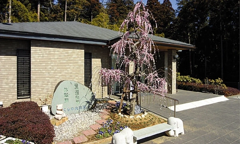 さくら中央霊園 