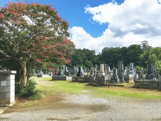 明るい雰囲気の寺院墓地