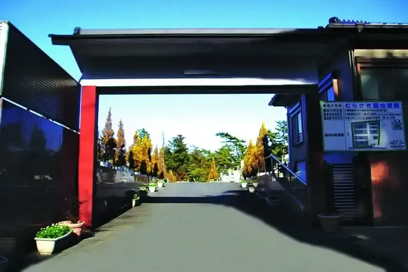 入口