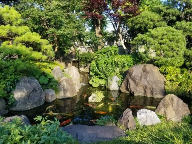 大蓮寺 のうこつぼの写真1