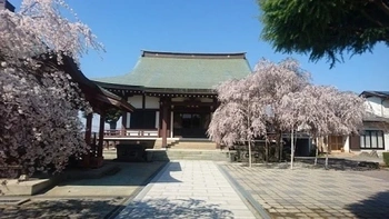 春の桜と福禄寿の霊園