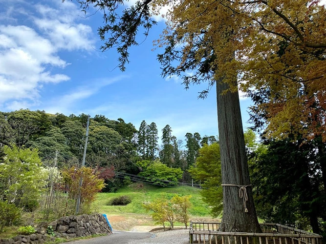 無量寿寺 のうこつぼ 