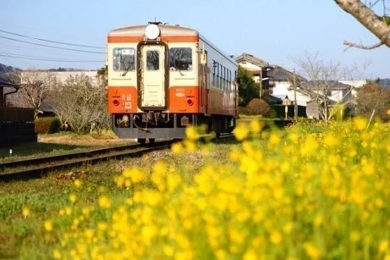 本迹寺 いすみ庭苑 