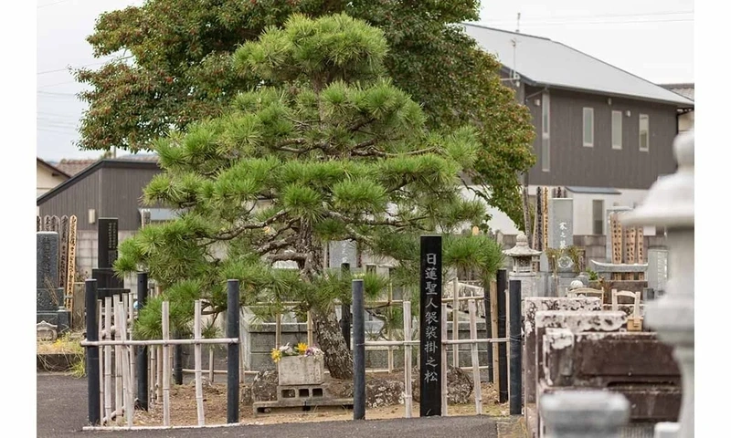 掛松寺 永代供養墓 