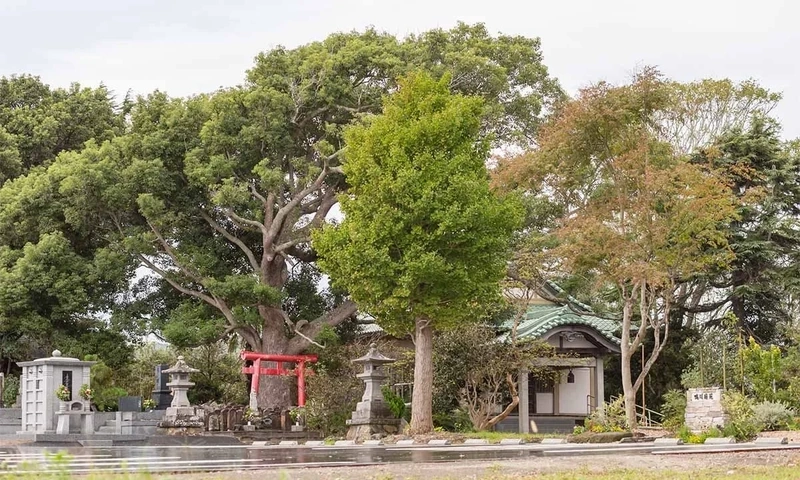 掛松寺 永代供養墓 