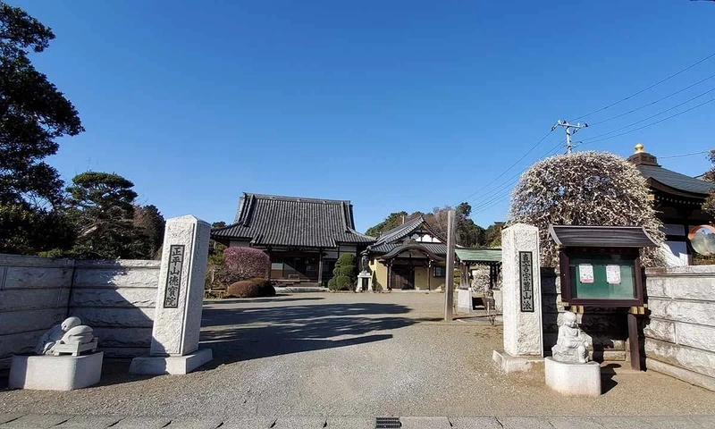 流山市 徳宝院 のうこつぼ