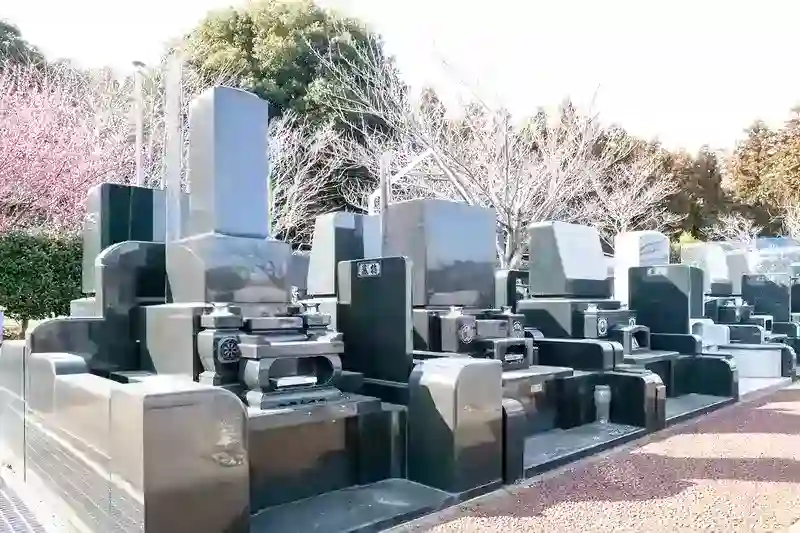 墓域②
