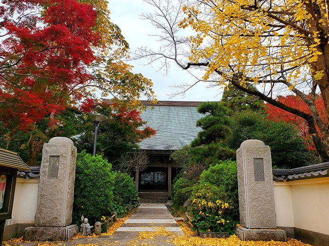 佐倉市 圓應寺 のうこつぼ