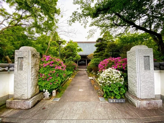 佐倉市 圓應寺 のうこつぼ