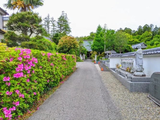 佐倉市 圓應寺 のうこつぼ