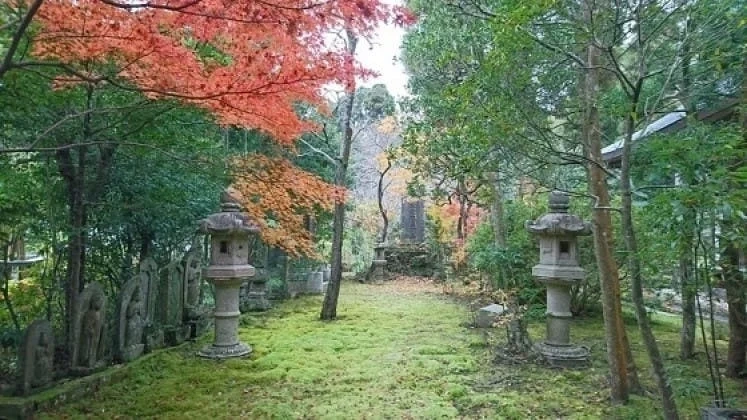 印西市 圓應寺 のうこつぼ