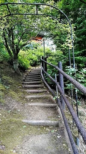 圓明院 さくら樹木葬 