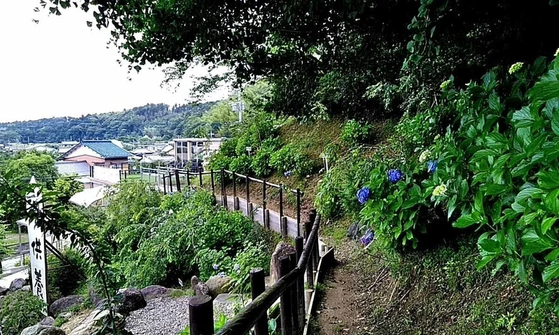 圓明院 さくら樹木葬 