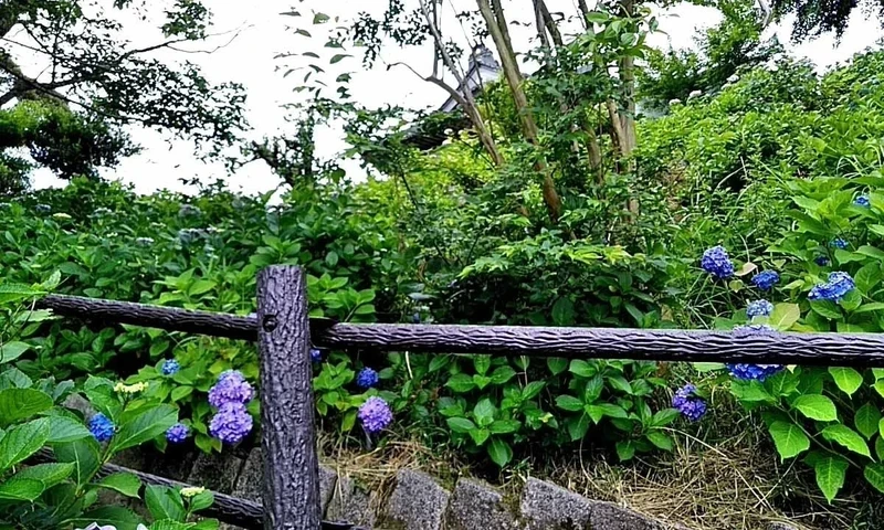 圓明院 さくら樹木葬 