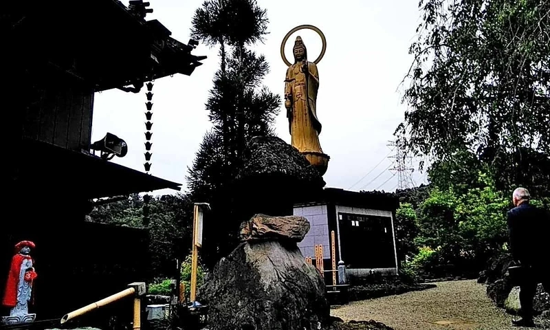 圓明院 さくら樹木葬 