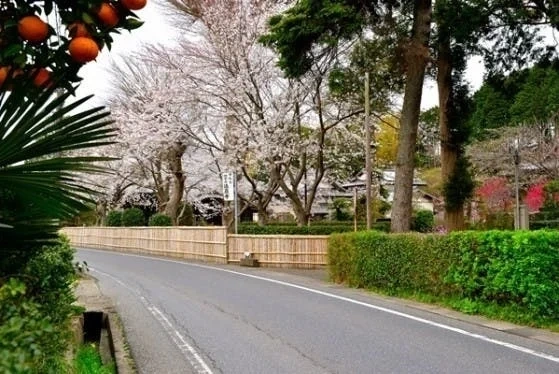 君津市 法巌寺 のうこつぼ