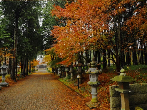 法巌寺 のうこつぼ 