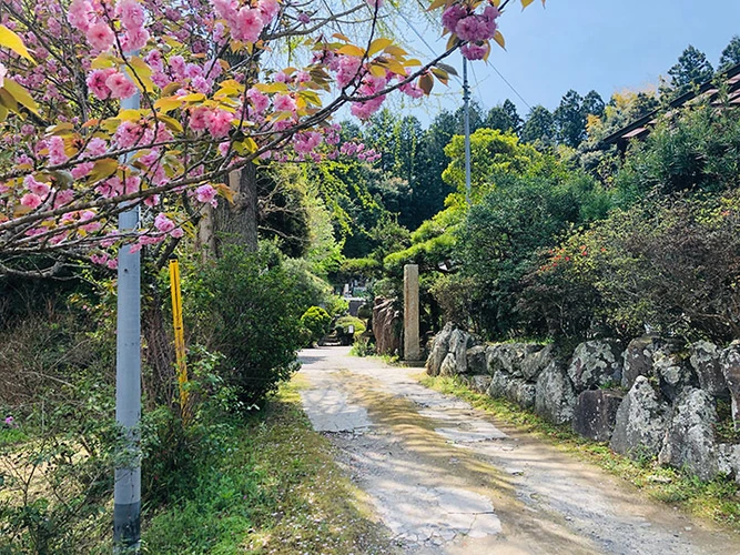 長照寺 のうこつぼ 