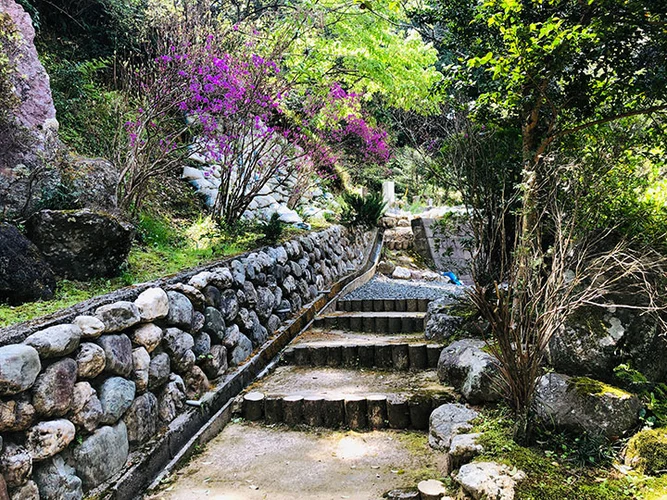 長照寺 のうこつぼ 