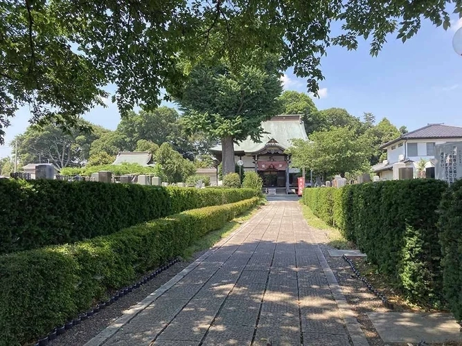 柏市 大洞院東第二墓地