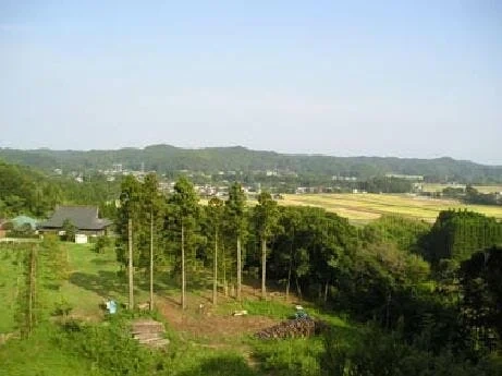 樹木葬の天徳寺 